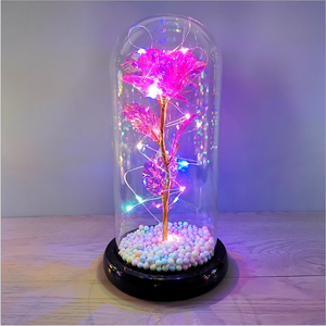 Rose in Glass Dome with LED Lights(🎉Big Sale - 50% Off + Buy Two Free Shipping)