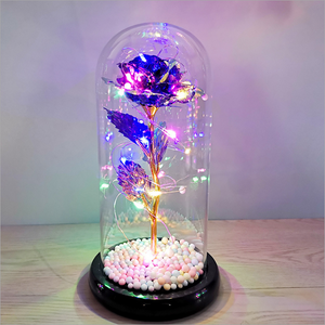 Rose in Glass Dome with LED Lights(🎉Big Sale - 50% Off + Buy Two Free Shipping)