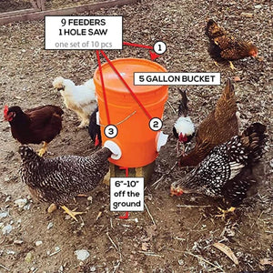 (🔥2025 Hot Sale-50% OFF)DIY Chicken Feeder