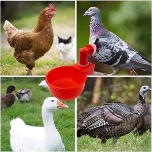 (🎁New Year Hot Sale-30% OFF) Automatic Chicken Water Cup Bird Coop